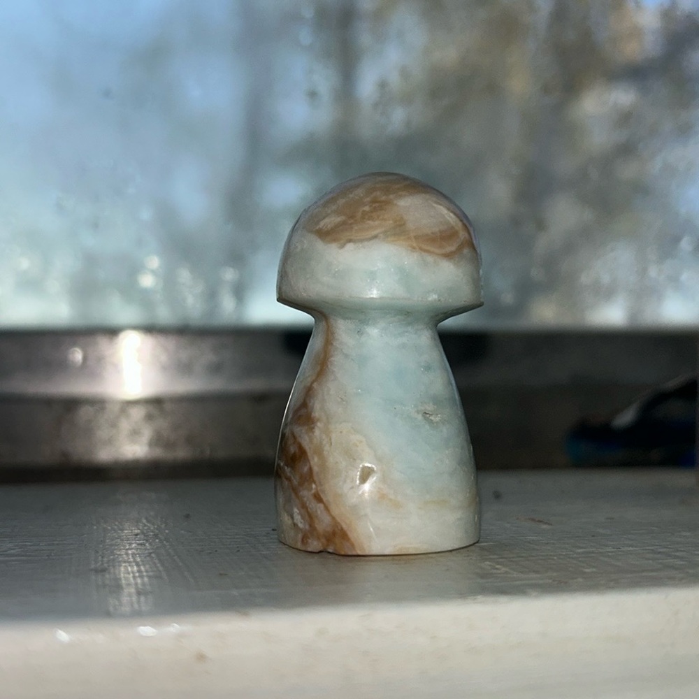 Caribbean Calcite Mushroom